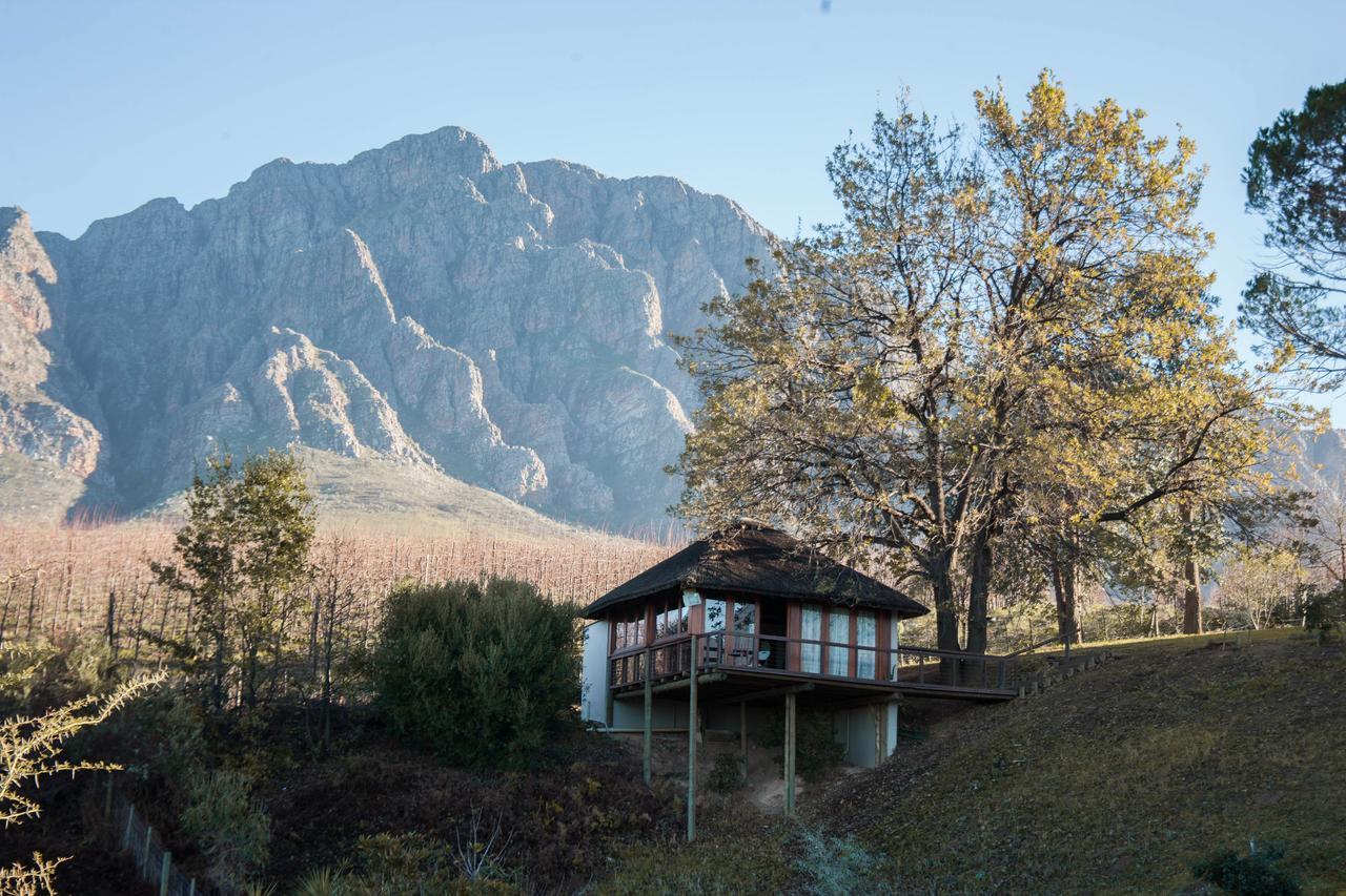 Tulbagh Mountain Manor Guest House Cape Town Exterior photo